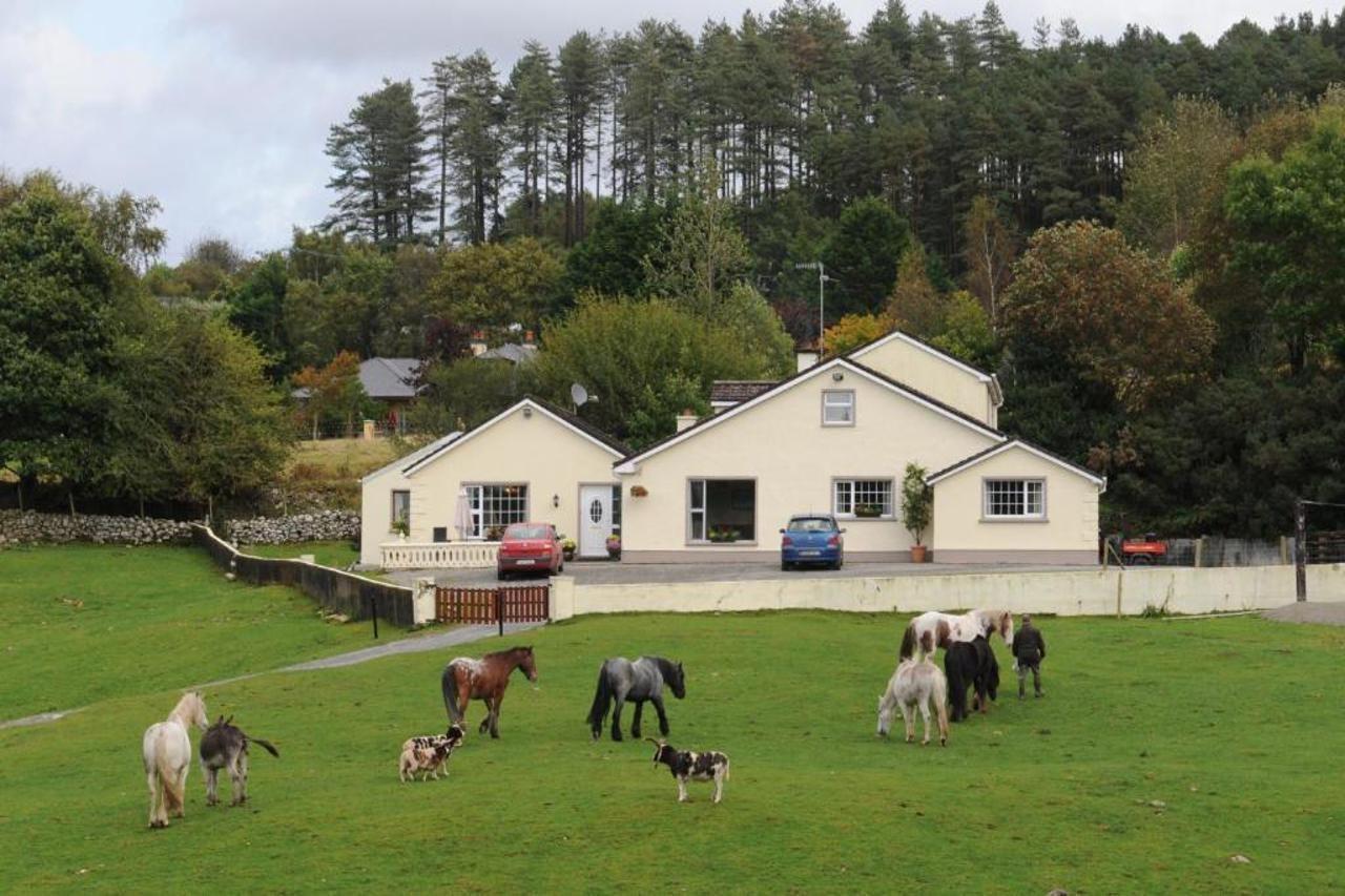 Muckross Riding Stables Killarney Exterior photo