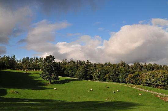 Muckross Riding Stables Killarney Exterior photo
