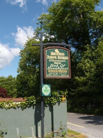 Muckross Riding Stables Killarney Exterior photo